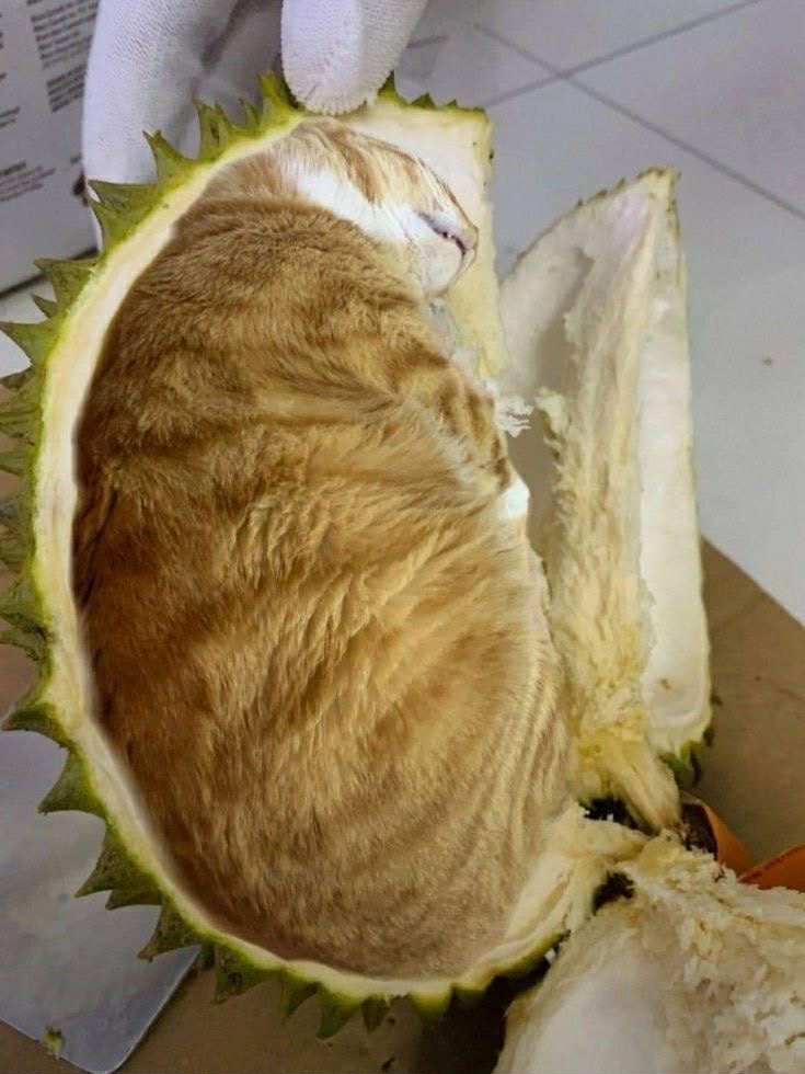 Thông báo